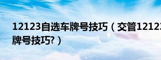 12123自选车牌号技巧（交管12123自选车牌号技巧?）