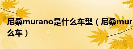 尼桑murano是什么车型（尼桑murano是什么车）