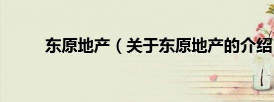东原地产（关于东原地产的介绍）