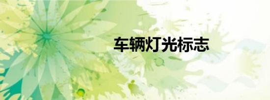 车辆灯光标志