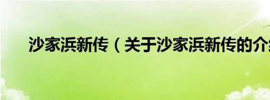 沙家浜新传（关于沙家浜新传的介绍）