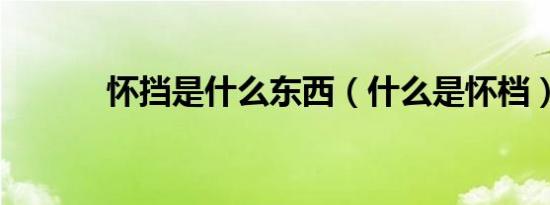 怀挡是什么东西（什么是怀档）