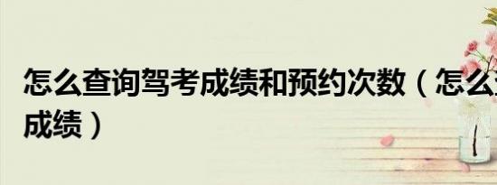 怎么查询驾考成绩和预约次数（怎么查询驾考成绩）