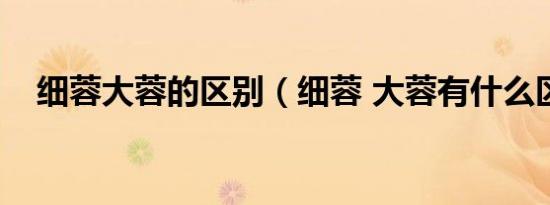 细蓉大蓉的区别（细蓉 大蓉有什么区别）