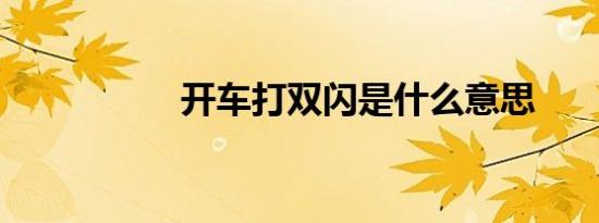 开车打双闪是什么意思
