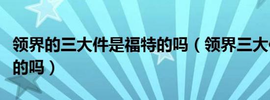 领界的三大件是福特的吗（领界三大件是福特的吗）