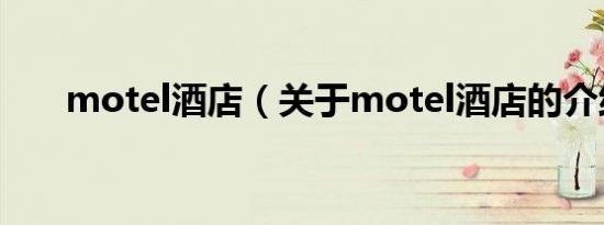 motel酒店（关于motel酒店的介绍）