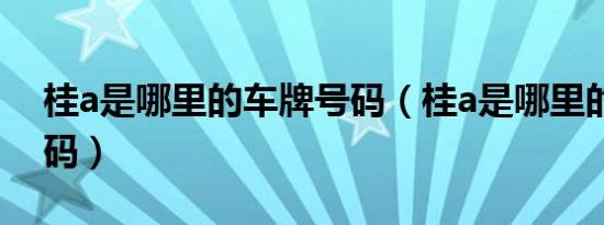 桂a是哪里的车牌号码（桂a是哪里的车牌号码）