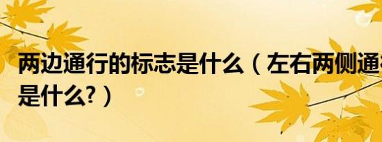 两边通行的标志是什么（左右两侧通行的标志是什么?）