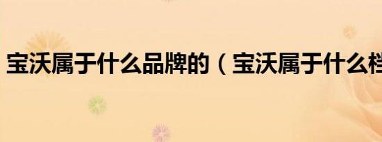 宝沃属于什么品牌的（宝沃属于什么档次的）