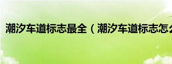 潮汐车道标志最全（潮汐车道标志怎么看?）