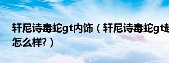轩尼诗毒蛇gt内饰（轩尼诗毒蛇gt超级跑车怎么样?）