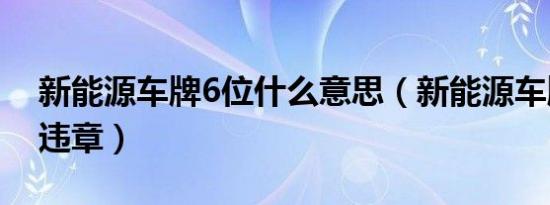 新能源车牌6位什么意思（新能源车牌6位查违章）