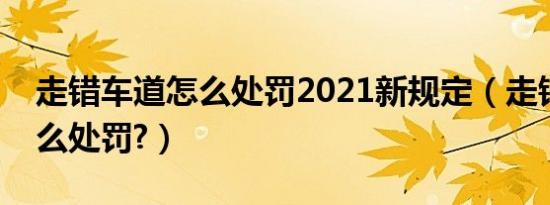 走错车道怎么处罚2021新规定（走错车道怎么处罚?）