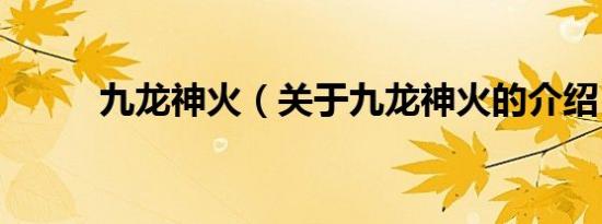 九龙神火（关于九龙神火的介绍）