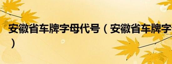 安徽省车牌字母代号（安徽省车牌字母代表市）