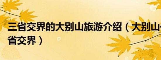 三省交界的大别山旅游介绍（大别山位于哪三省交界）