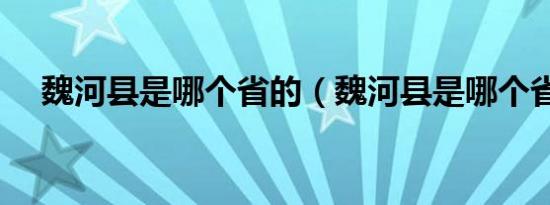 魏河县是哪个省的（魏河县是哪个省的）