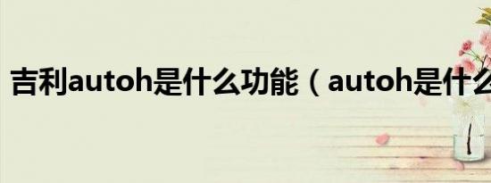 吉利autoh是什么功能（autoh是什么功能）