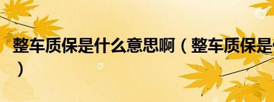 整车质保是什么意思啊（整车质保是什么意思）