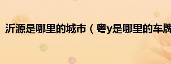 沂源是哪里的城市（粤y是哪里的车牌号码）