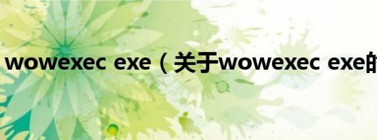 wowexec exe（关于wowexec exe的介绍）