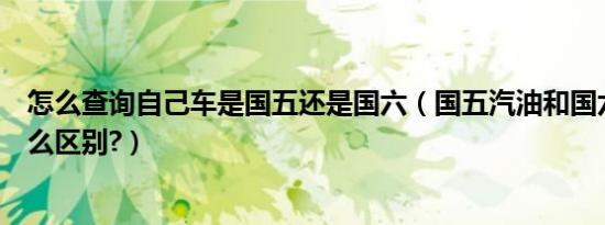 怎么查询自己车是国五还是国六（国五汽油和国六汽油有什么区别?）