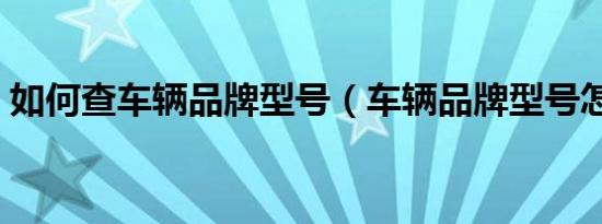 如何查车辆品牌型号（车辆品牌型号怎么查）