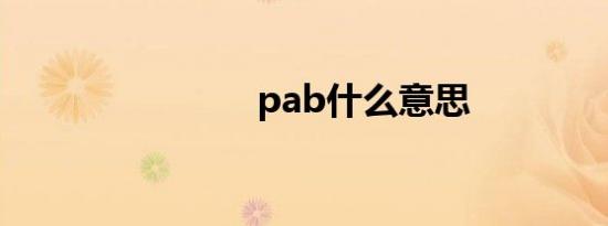 pab什么意思