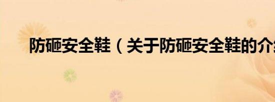 防砸安全鞋（关于防砸安全鞋的介绍）