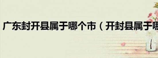 广东封开县属于哪个市（开封县属于哪个市）