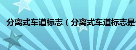 分离式车道标志（分离式车道标志是什么）
