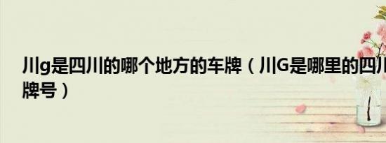 川g是四川的哪个地方的车牌（川G是哪里的四川哪里的车牌号）