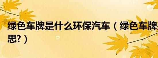 绿色车牌是什么环保汽车（绿色车牌是什么意思?）