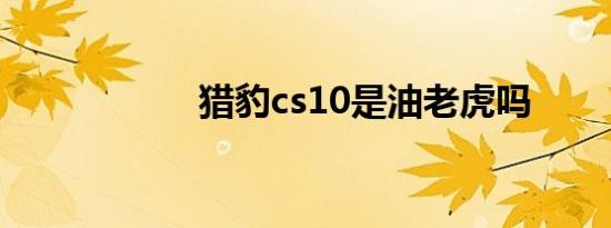 猎豹cs10是油老虎吗