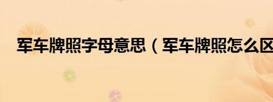 军车牌照字母意思（军车牌照怎么区分?）