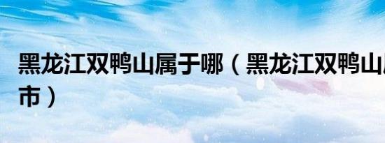 黑龙江双鸭山属于哪（黑龙江双鸭山属于哪个市）