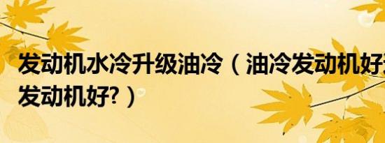 发动机水冷升级油冷（油冷发动机好还是水冷发动机好?）