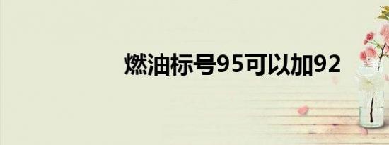 燃油标号95可以加92