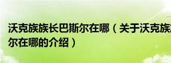 沃克族族长巴斯尔在哪（关于沃克族族长巴斯尔在哪的介绍）
