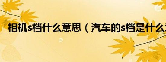 相机s档什么意思（汽车的s档是什么意思）