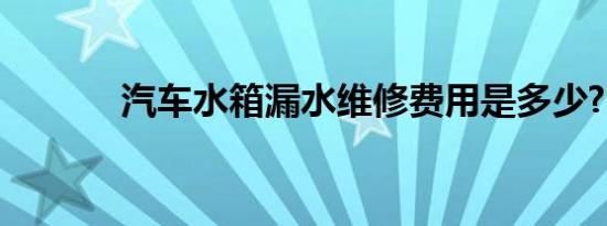 汽车水箱漏水维修费用是多少?