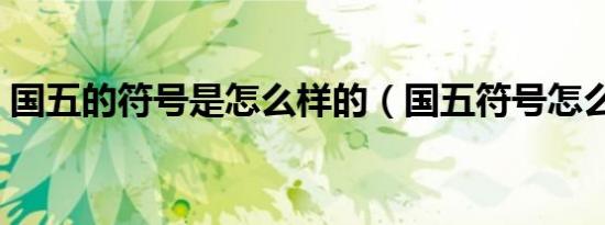 国五的符号是怎么样的（国五符号怎么表示）