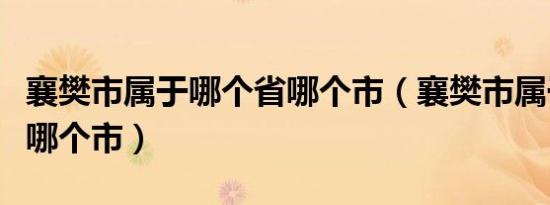 襄樊市属于哪个省哪个市（襄樊市属于哪个省哪个市）
