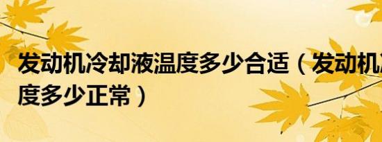 发动机冷却液温度多少合适（发动机冷却液温度多少正常）