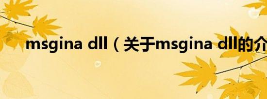 msgina dll（关于msgina dll的介绍）