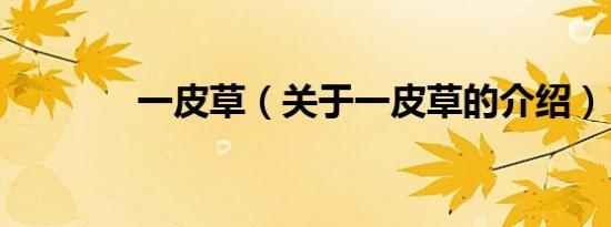 一皮草（关于一皮草的介绍）