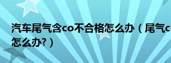 汽车尾气含co不合格怎么办（尾气co不合格怎么办?）