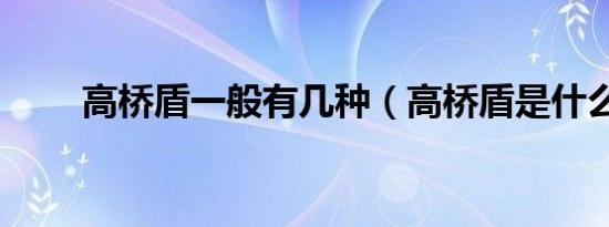 高桥盾一般有几种（高桥盾是什么）