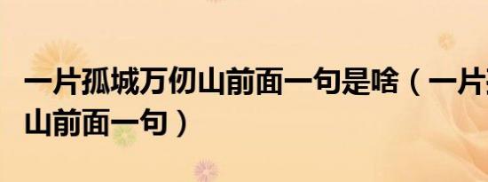 一片孤城万仞山前面一句是啥（一片孤城万仞山前面一句）
